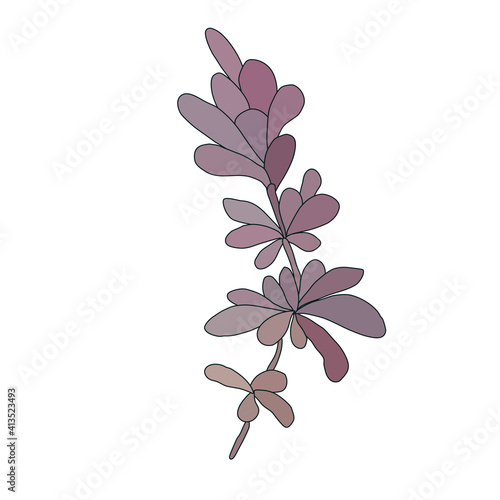 vector color lavender isolated on white background