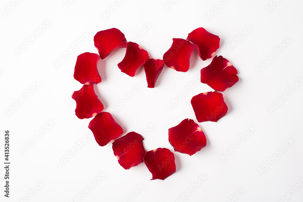 Close up flat lay photo image of red bright rose petals isolated white background Close up flat lay photo image of red bright rose petals isolated white background