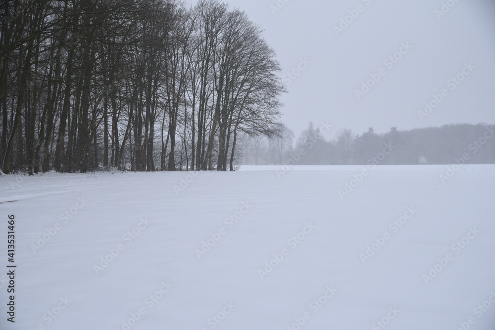 Heavy snowfall on the field near the forest. Heavy snowfall on the field near the forest.