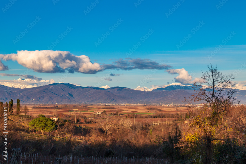 Winter sunset in the vineyards of Collio Friulano