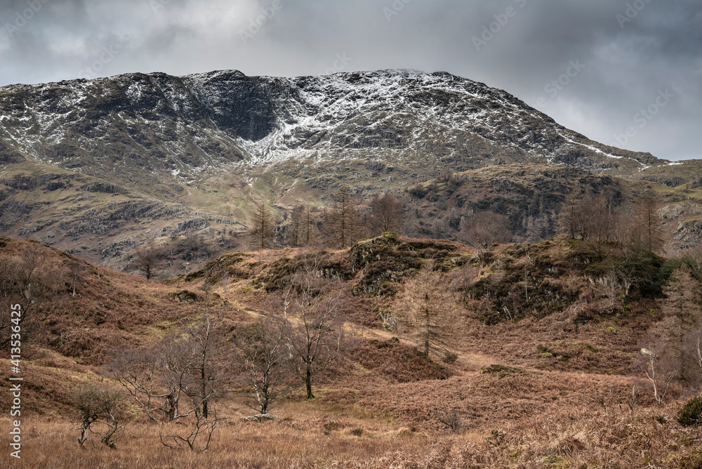 Naklejka premium Majestic Winter landscape image view from Holme Fell in Lake District towards snow capped mountain ranges in distance in glorious evening light with Autumnal colors trees