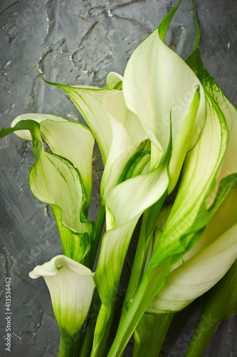 White calla lily in a vase 