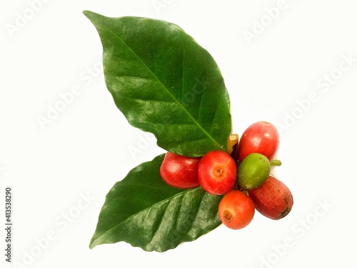 Red coffee beans with leaves on a white background.