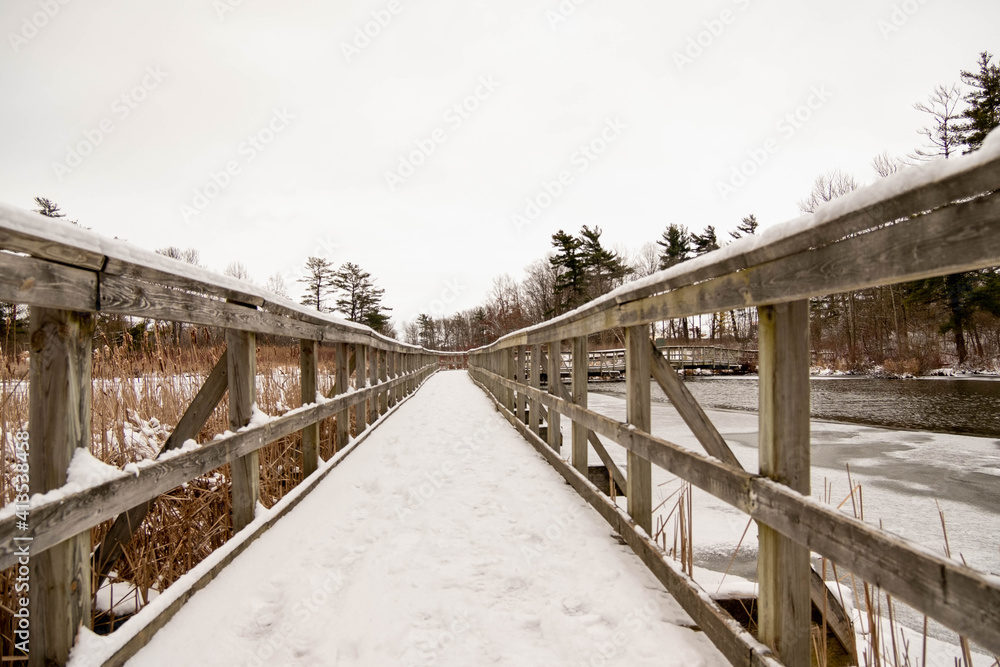 Snow covered wooden path in the forest in London Ontario, Canada. Cold winter day with gloomy sky and bare brown trees.