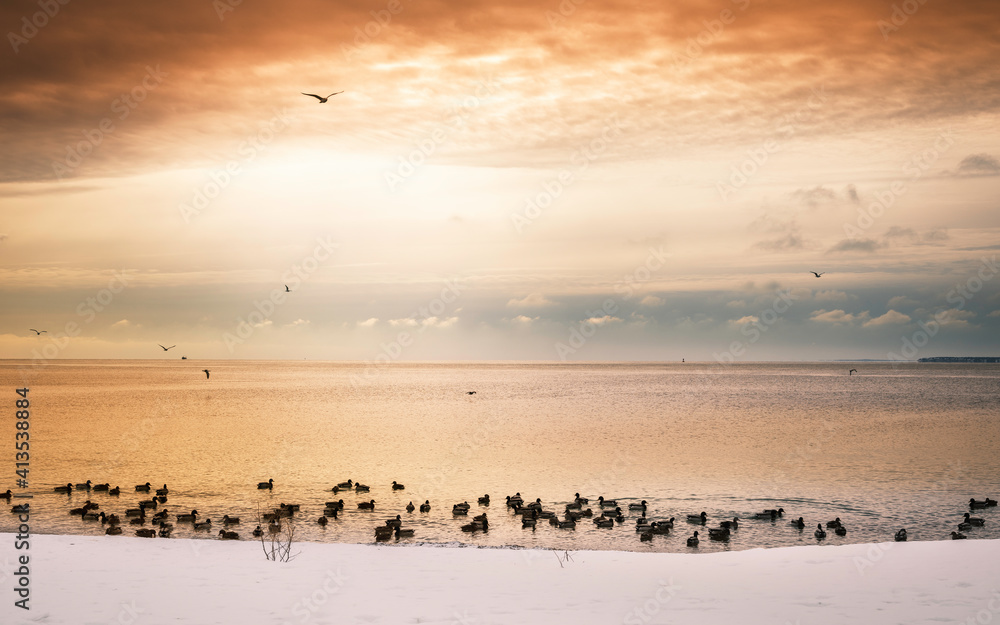Golden Sunrise at Seabird Sanctuary on Snow Covered Beach Golden Sunrise at Seabird Sanctuary on Snow Covered Beach