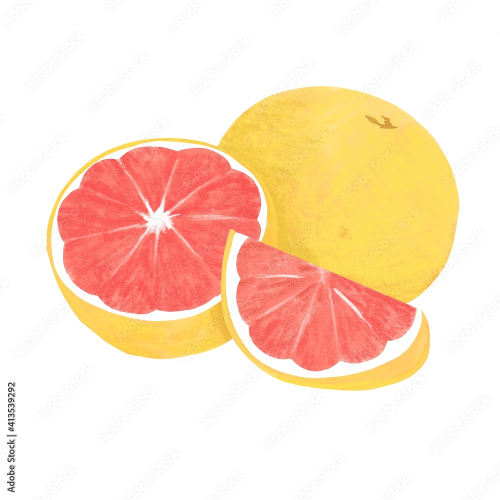 色鉛筆風のグレープフルーツイラスト Stock Illustration Adobe Stock 色鉛筆風のグレープフルーツイラスト Stock Illustration Adobe Stock