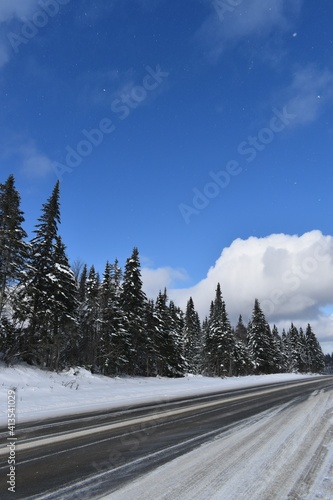  Spruce trees under a blue sky, Saint-Paul, Québec