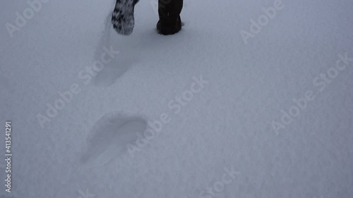 The first footprints in the deep snow