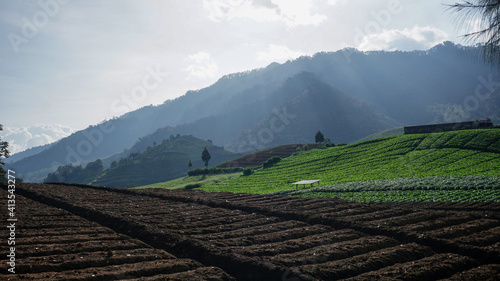 Agricultural Plantations terracing the slopes of the Mountains, Brakseng, Cangar, Batu City, East Java photo