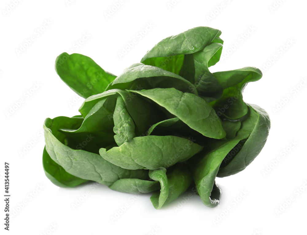 Bunch of fresh spinach isolated on white Bunch of fresh spinach isolated on white