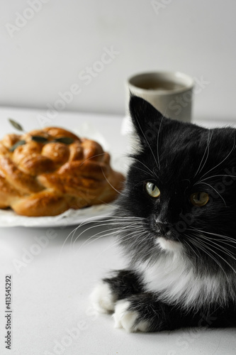 Freshly baked homemade braided brioche, cup of tea and black and white fluffy cat on white background.