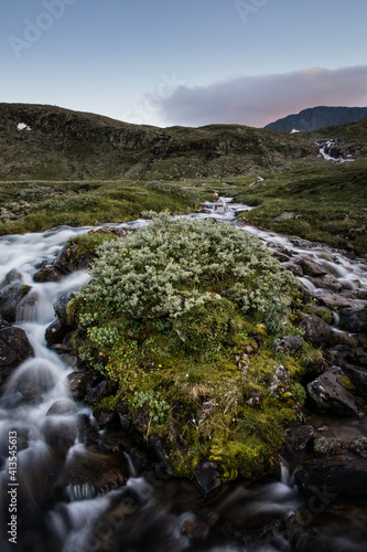 stream in the mountains