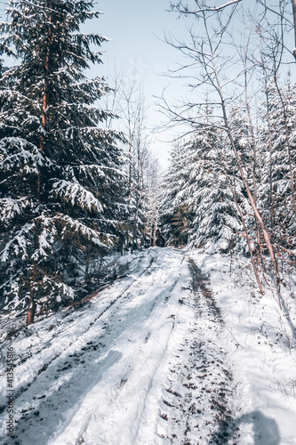 Wallpaper Mural snow covered road Torontodigital.ca
