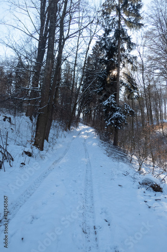 Wallpaper Mural road in the snow Torontodigital.ca