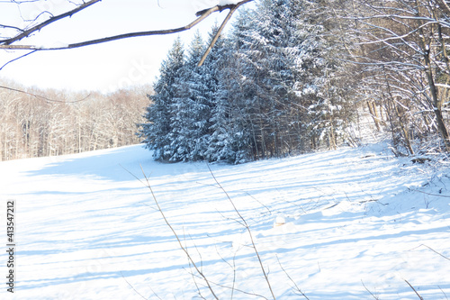 Wallpaper Mural tree in snow Torontodigital.ca