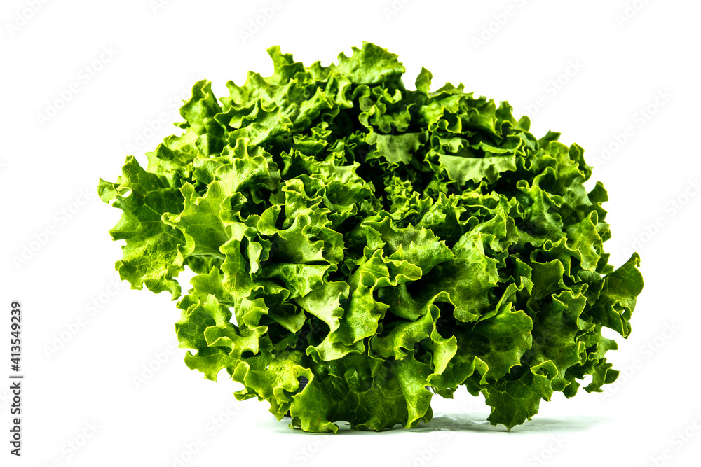 Obraz premium salade sur fond blanc