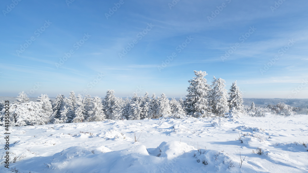 Stunning panorama of snowy landscape and tree in winter in Black Forest - Frozen snow winter wonderland Schliffkopf	