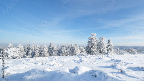 Stunning panorama of snowy landscape and tree in winter in Black Forest - Frozen snow winter wonderland Schliffkopf  © Corri Seizinger