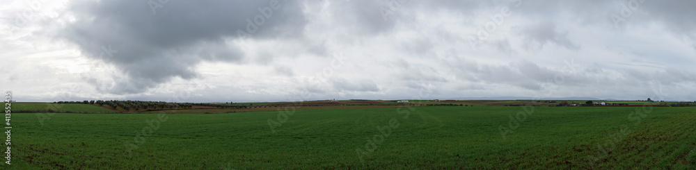 Obraz premium panorama landscape of endless olive groves and green farm fields