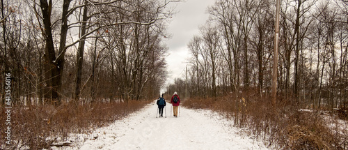 Photography London, Canada, January 19, 2021: Editorial photo of a person walking through the forest on a cold winter day in London, Canada