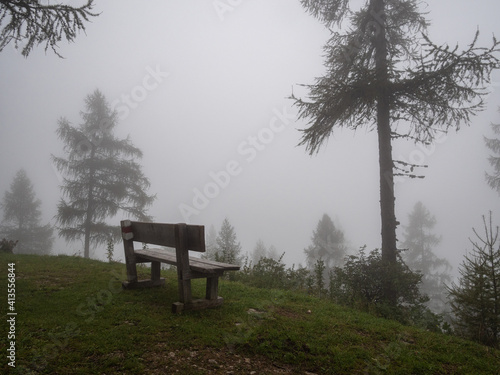 Wandern in den Alpen - Rastplatz im nebligen Wald