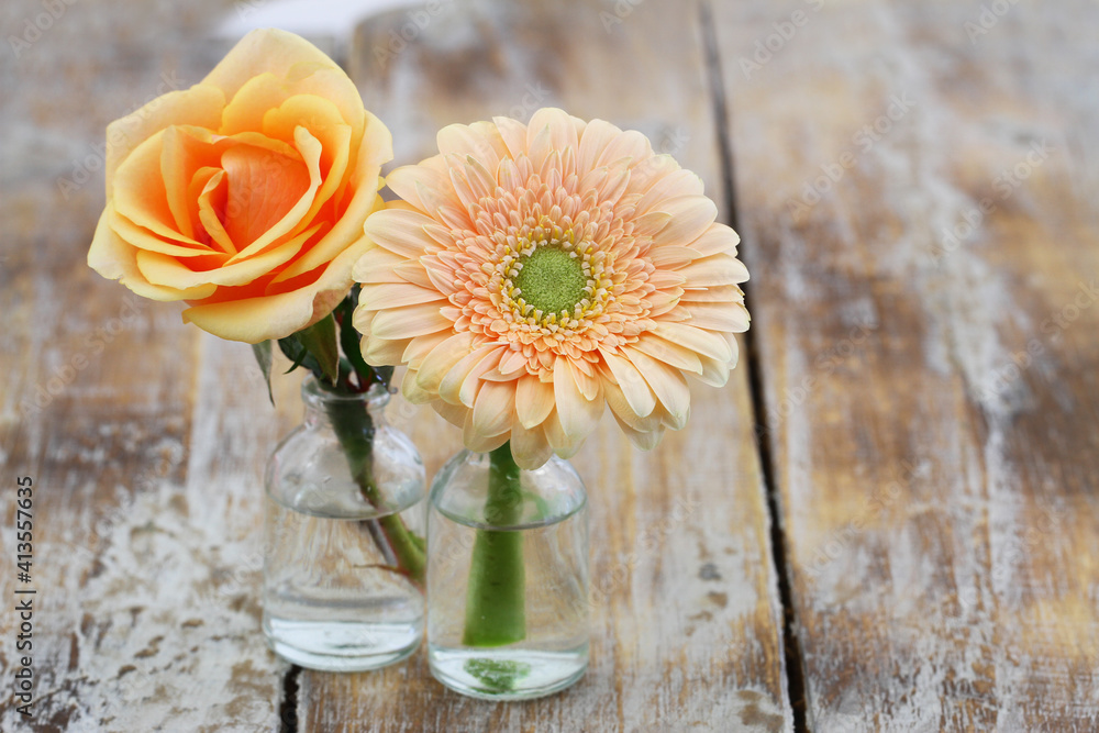 Cream colour rose and gerbeara daisy in miniature transparent bottles on rustic wood with copy space