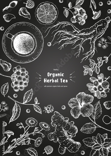 Herbal Tea shop frame vector illustration. Vector design with herbal ingredients. Hand drawn sketch collection. Engraved style.