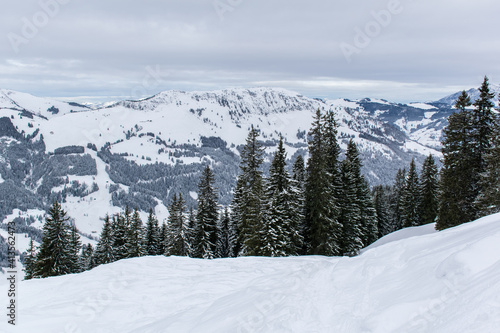 Behind the slope covered with coniferous forest, you can see the panorama of the Kitzbuhel Valley topped by a mountain range with sharp-pointed snow-capped peaks. © Сергей Дворецкий