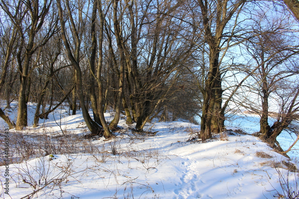 Fototapeta premium Zimowy krajobraz