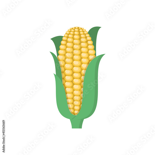 Corn fresh vegetables on white background vector design