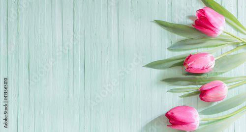 Fototapeta Naklejka Na Ścianę i Meble -  pink tulips on green wooden background