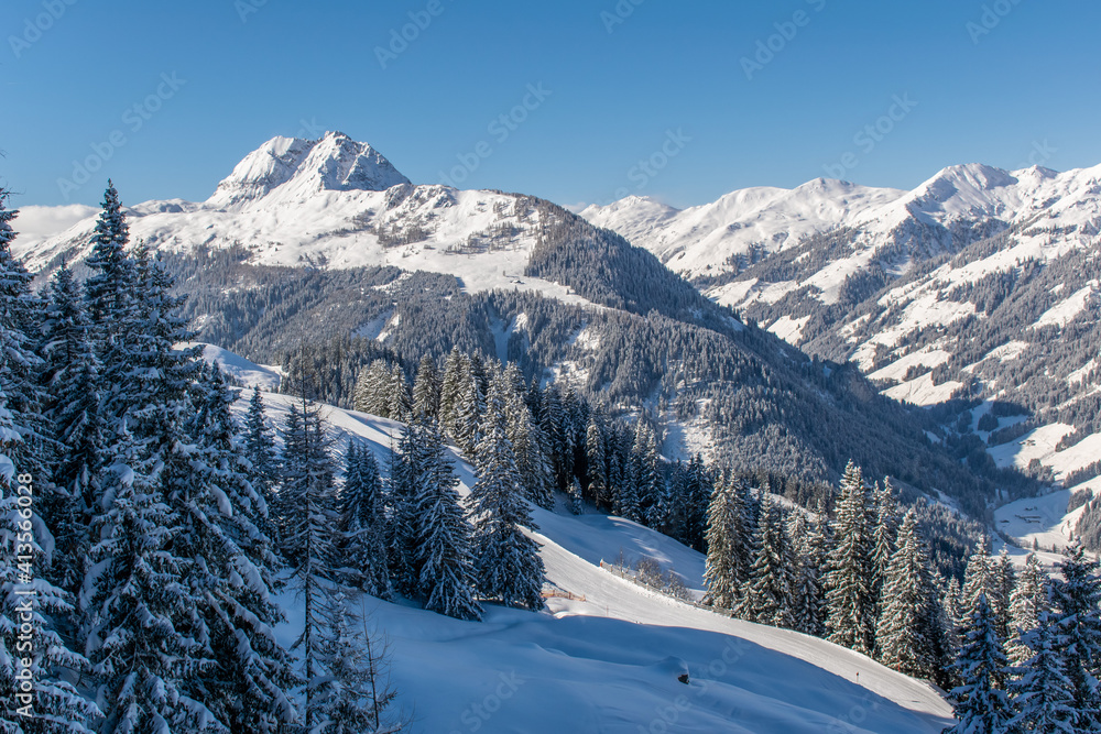 The Austrian Alps in winter near Kitzbuhel. Behind the snow-covered fir trees, illuminated by the sun, the magnificent mountain peaks rise against the blue sky.