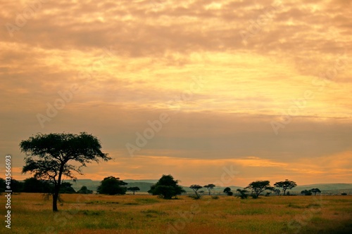 savannah sunset Tanzania