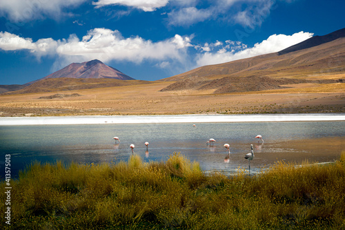 Horizontal view with flamingos in Cañapa Lake and mountains in the background, Bolivia