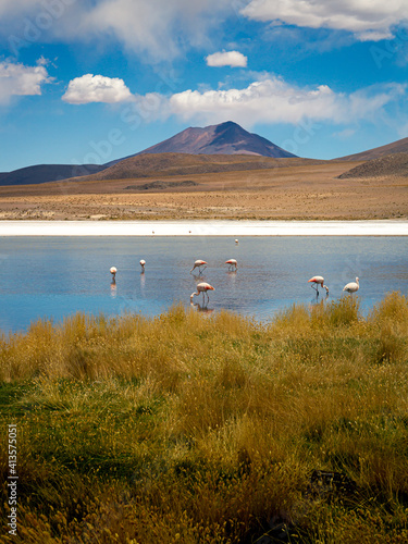 Beautiful view with flamingos in Cañapa Lake and mountains in the background, Bolivia