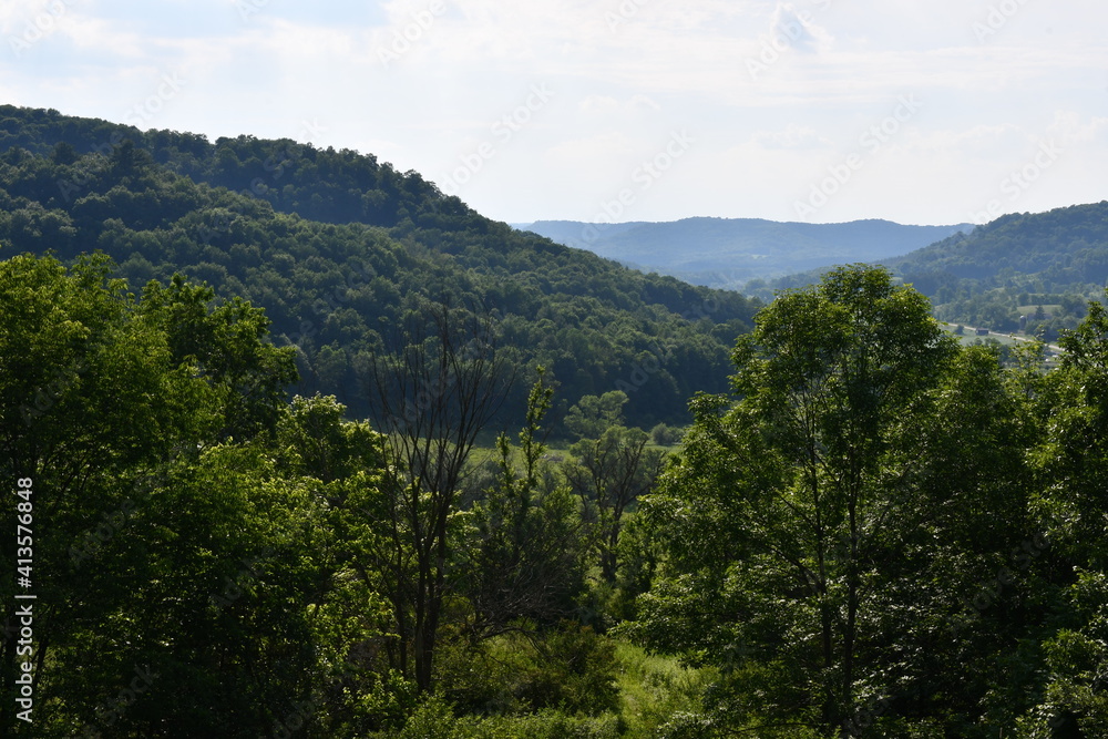 Woodland views in the Driftless Area of Southwest Wisconsin