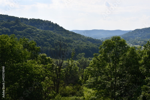 Woodland views in the Driftless Area of Southwest Wisconsin