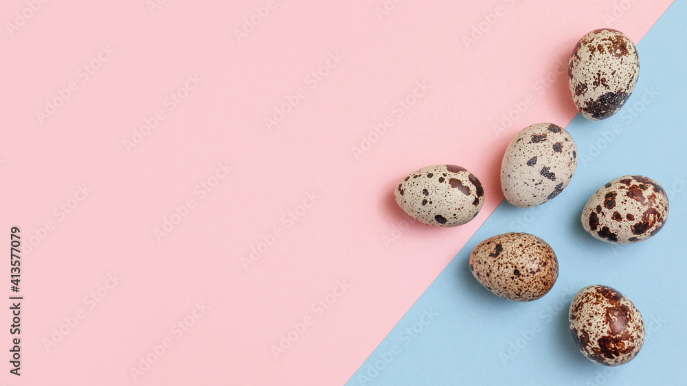Decorative composition-quail eggs on a delicate pink-blue background. The concept of the Easter celebration, the diet of proper nutrition. Top view, flatly.