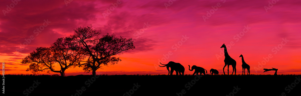 Amazing sunset and sunrise.Panorama silhouette tree in africa with sunset.Safari theme.Giraffes , Lion , Rhino.