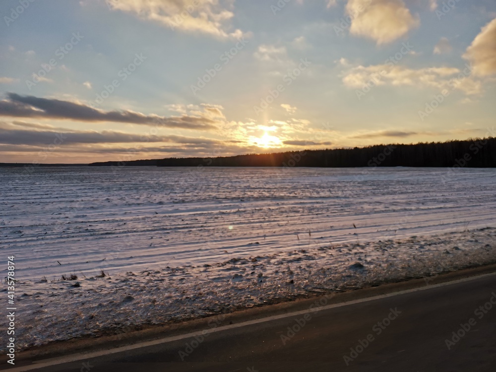 Fototapeta premium sunset above the forest