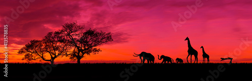 Amazing sunset and sunrise.Panorama silhouette tree in africa with sunset.Safari theme.Giraffes   Lion   Rhino.