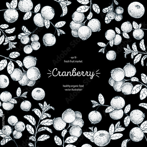 Cranberries sketch frame vector illustration. Hand drawn cranberry berries. Vintage style design. Organic food, healthy food.