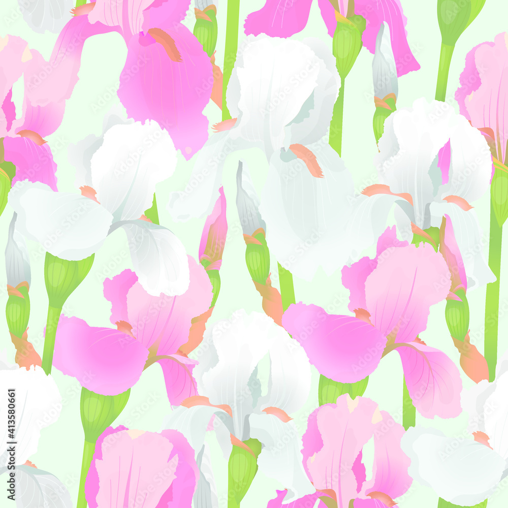 Irises delicate floral seamless pattern. Flowers and buds of pink and white on light  background. Vector illustration