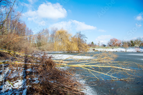 Frozen snow Fish pond with fallen alder trees, tree trunks broken down. Shore covered with ice crystals, water surface. Horizon, blue sky winter background. Germany, Alzey, Rhineland Palatinate