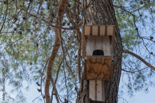 birdhouse on a tree © Alfonso