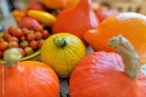 Concept photo of many Fresh Red kuri pumpkin as a background. Organic orange hokkaido pumpkin