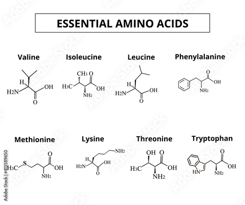 Essential amino acids. A set of amino acids. Chemical molecular formulas of amino acids. Vector illustration on isolated background.