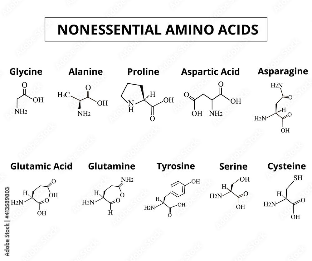 Fototapeta Nonessential amino acids. A set of amino acids. Chemical
