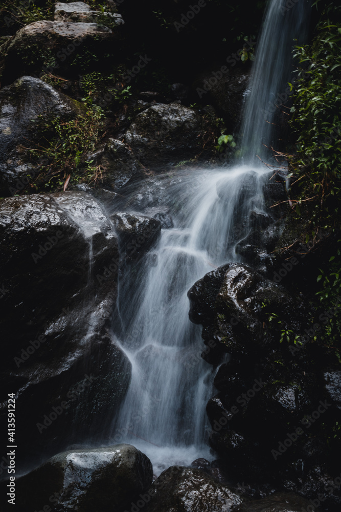 Obraz premium waterfall in the forest