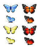 Bright set of vector butterflies